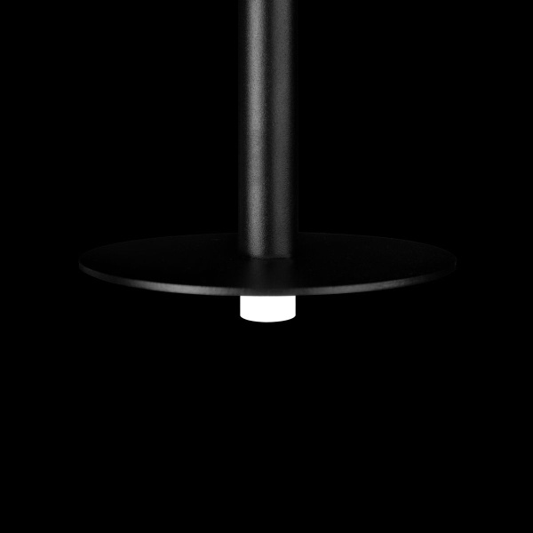 Подвесной светодиодный светильник Loft IT Reed 10358/830 Disk