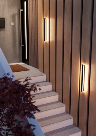 Уличный настенный светильник Eglo  900677