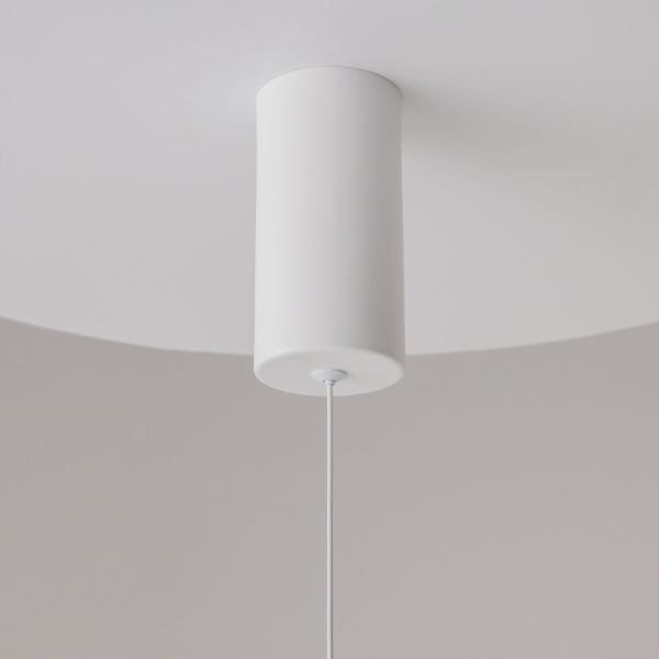 Подвесной светильник Maytoni Ray P022PL-L20W3K