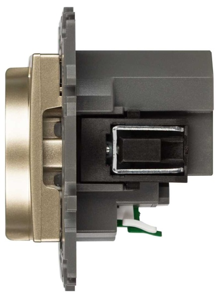 Розетка ЭРА Elegance 14-4108-04 2P+E 16A-250В со шторками с USB type-A+C 5В-3А шампань Б0067740