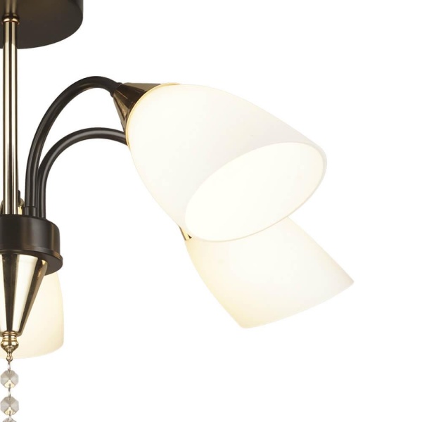 Потолочная люстра Seven Fires Tasita 66613.01.15.05