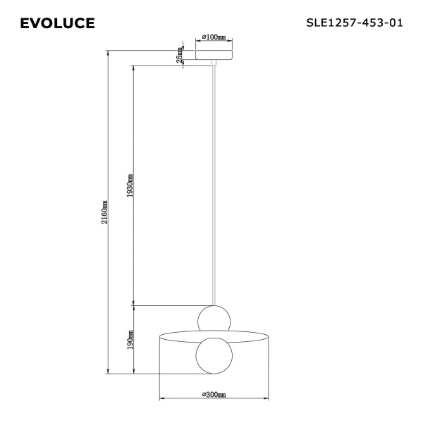 Подвесной светильник Evoluce SLE1257-453-01