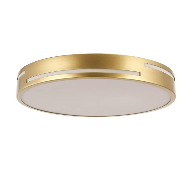 Потолочный светодиодный светильник F-Promo Pall 2745-2C