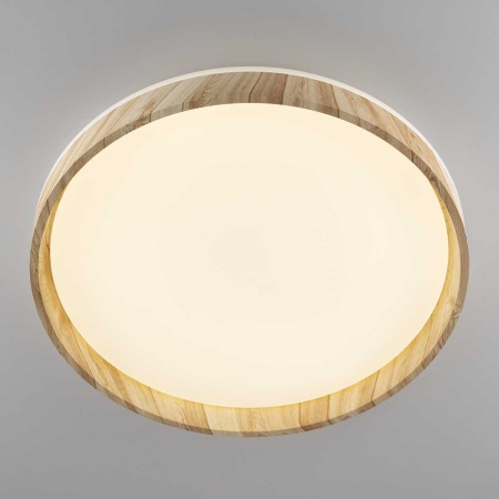 Потолочный светодиодный светильник Citilux Enzo CL753452G