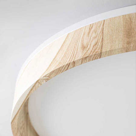 Потолочный светодиодный светильник Citilux Enzo CL753452G