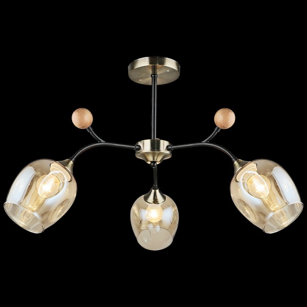 Потолочный светильник Reluce 02009-0.3-03 AB+BK