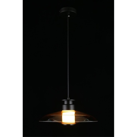 Подвесной светодиодный светильник Aployt Stefa APL.648.16.10