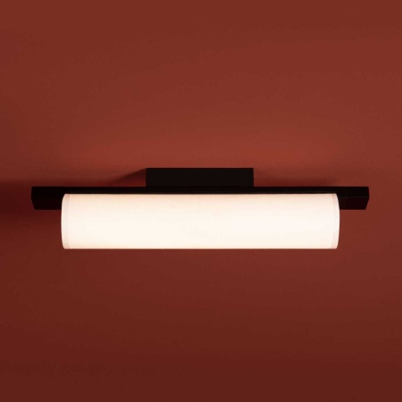 Потолочный светильник Freya Modern Even FR5625CL-L20B