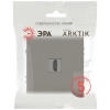 Розетка ЭРА Arktik 16-3114-07 HDMI титан Б0070510