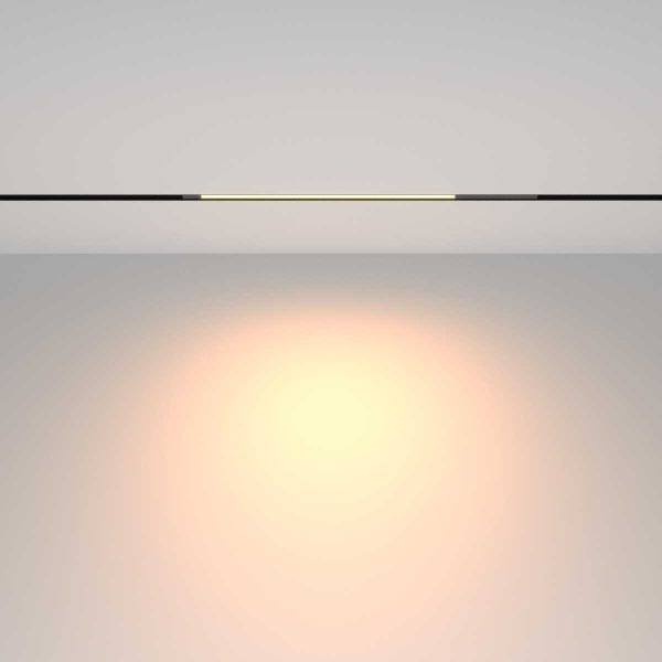 Трековый светильник Maytoni Technical TR231-2-10W3K-B