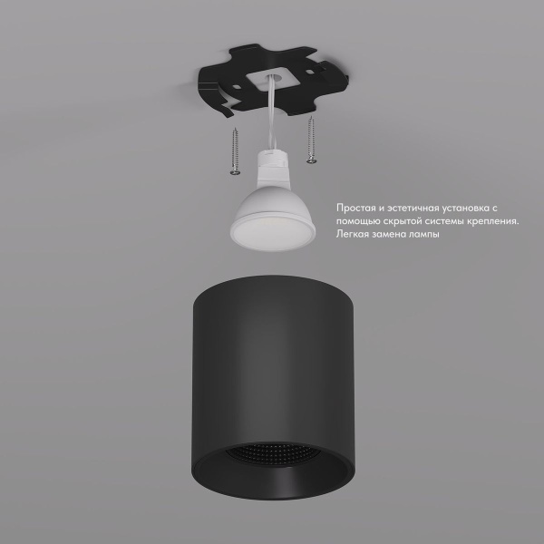 Накладной светильник Denkirs Rodvig DK3090-BK