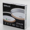 Потолочный светодиодный светильник Citilux Etalon CL750181