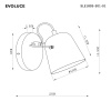 Настенный светильник Evoluce SLE1805-501-01