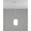 Подвесной светильник Moderli Ivory V11029-1P