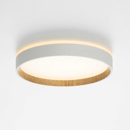 Потолочный светодиодный светильник Citilux Etalon CL750240