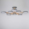 Потолочный светильник Imperium Loft TURNA-B01 228858-26
