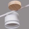 Люстра Reluce 68730-0.3-10 GX53 WH+WOOD