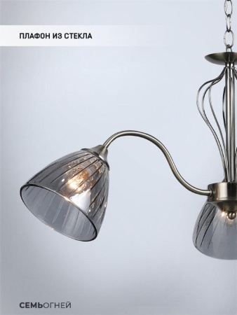 Подвесная люстра Seven Fires Savena WD3625/3H-AB-SMK