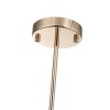 Подвесная люстра ST Luce Elegra SL1402.203.10