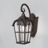 Уличный настенный светильник Maytoni Outdoor Albion O413WL-01BZ