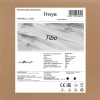 Потолочный светильник Freya Тибо / Tibo FR6048CL-L10GB