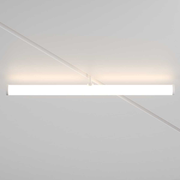 Трековый светодиодный светильник Maytoni Technical Larc TR086-2-25W4K-W