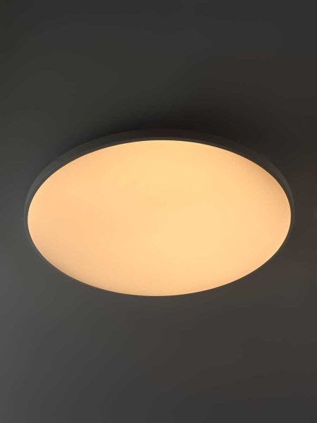 Светильник потолочный светодиодный Rivoli Nova 6179-703 LED 3000K-6500k 80 ВТ Б0069795