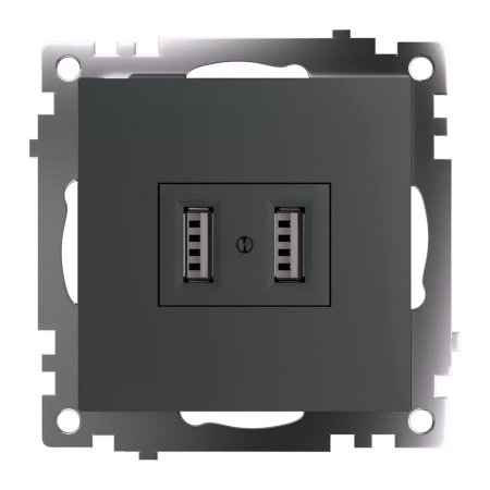 Розетка 2хUSB Stekker Катрин графит GLS10-7115-06 49422