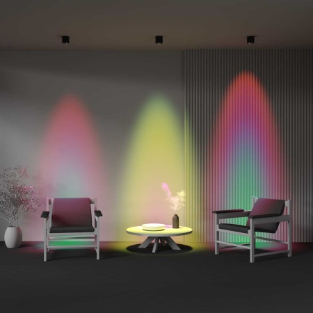 Потолочный светильник Maytoni Technical Ceiling Lens C217CL-15W3K-B