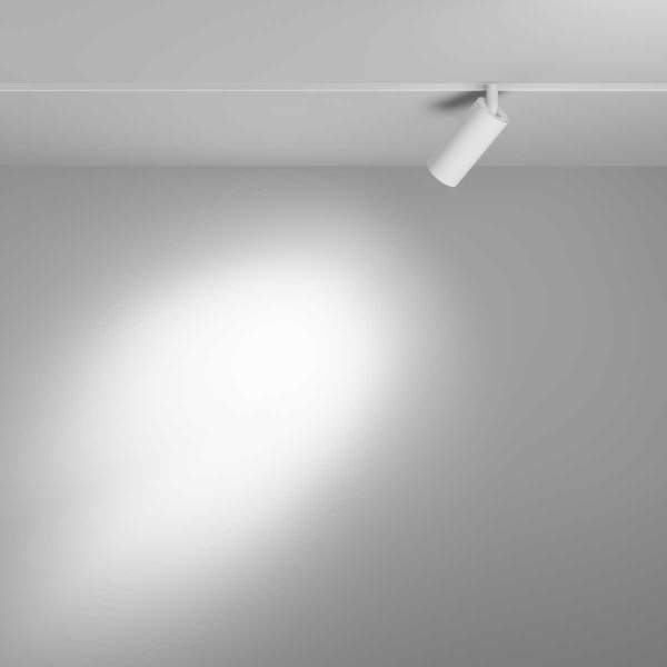 Трековый светильник Voltega Эксилайт / Exilight VGL032-2-5W3K-S-W