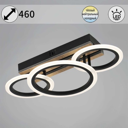 Светильник потолочный Reluce 00330-0.3-2+1