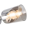Потолочная люстра Freya Двойной / Dual FR5226PL-06W