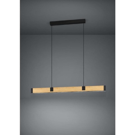 Подвесной светодиодный светильник Eglo Caminarro 390225