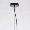 Подвесная люстра Imperium Loft Peo A D60 232561-23