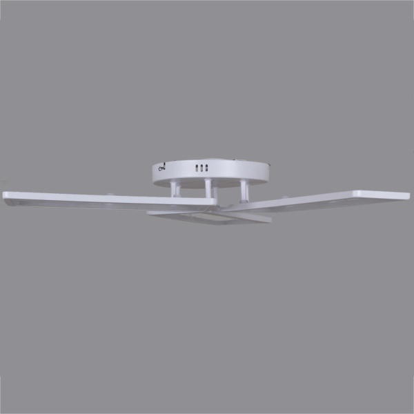 Потолочный светильник Reluce 03629-0.3-03D WH