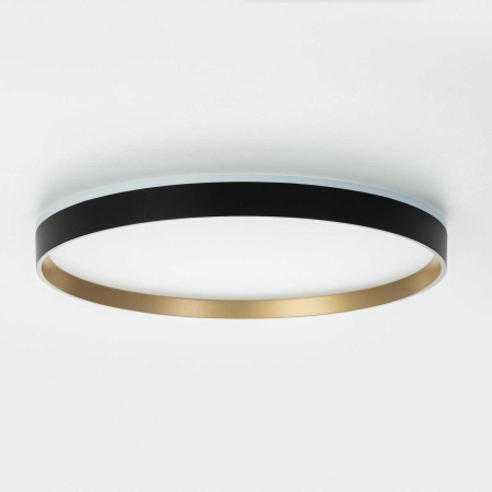 Потолочный светильник Citilux ETALON CL750401R