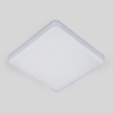 Потолочный светодиодный светильник Elektrostandard DLS043 10W 4200K a047941
