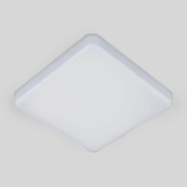 Потолочный светодиодный светильник Elektrostandard DLS043 10W 4200K a047941