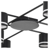 Потолочная люстра Lumion Berty Comfi 8362/8C
