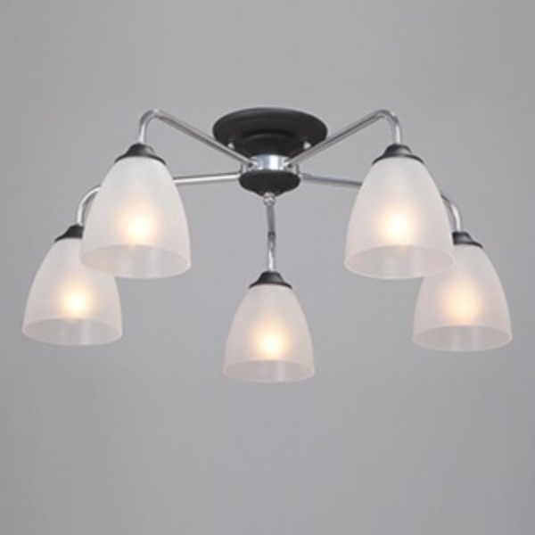 Потолочная люстра Vitaluce V3946-1/5PL