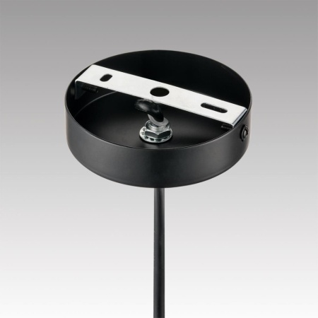 Светильник подвесной Lumion PALERMO 8281/4