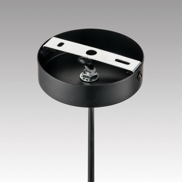 Светильник подвесной Lumion PALERMO 8281/4