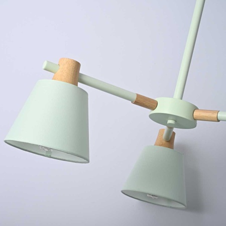 Подвесная люстра Imperium Loft Natura 101824-26