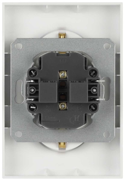 Розетка ЭРА Galaxy 15-2104-01 с заземлением двойная 2X2P+E Schuko 16А-250В IP20 белый Б0070678