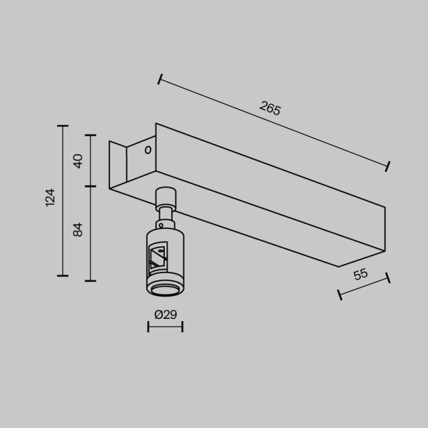 Основание потолочное Short для блока питания с вводом питания Maytoni Technical TRA156C-BB1-PT