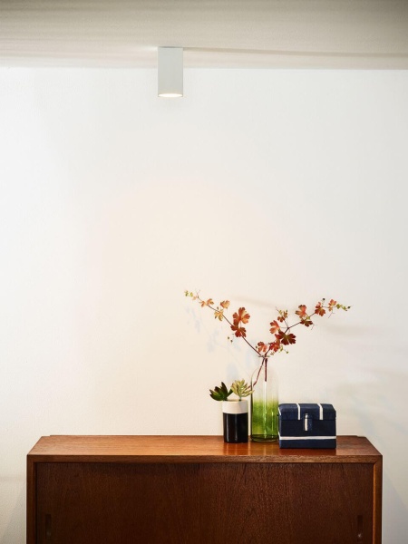 Потолочный светильник Lucide Delto 09916/06/31