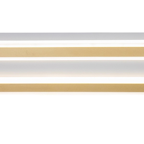 Потолочный светодиодный светильник Indigo Arena 14009/A/1CW Gold V000055L