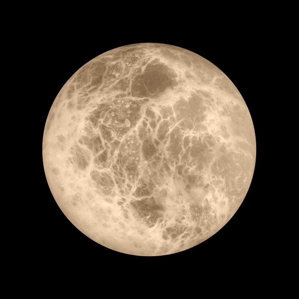 Настенный светильник LOFT IT Emi 10414W/M