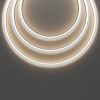 Гибкий неон Maytoni Led Strip 10м 432016
