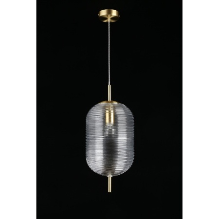 Подвесной светильник Aployt Mattia APL.316.16.01